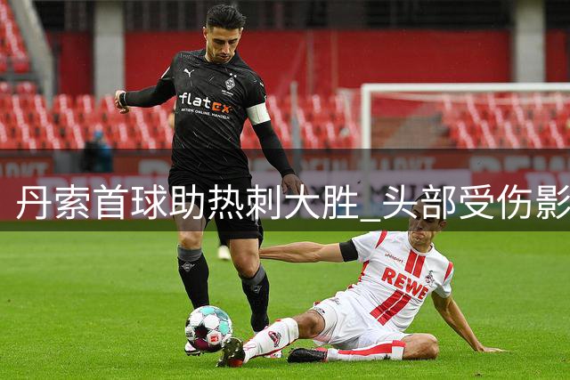 丹索首球助热刺大胜 头部受伤影响庆祝