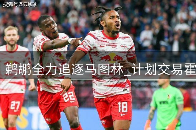 鹈鹕全力追逐马图林 计划交易霍金斯腾薪资